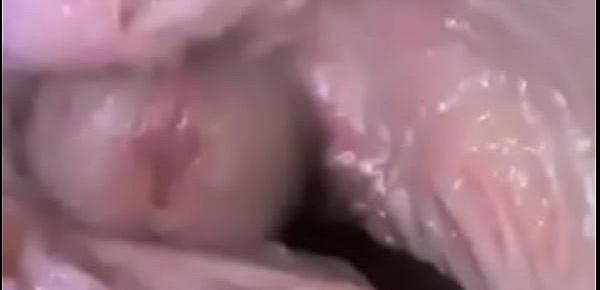  Dick Inside a Vagina